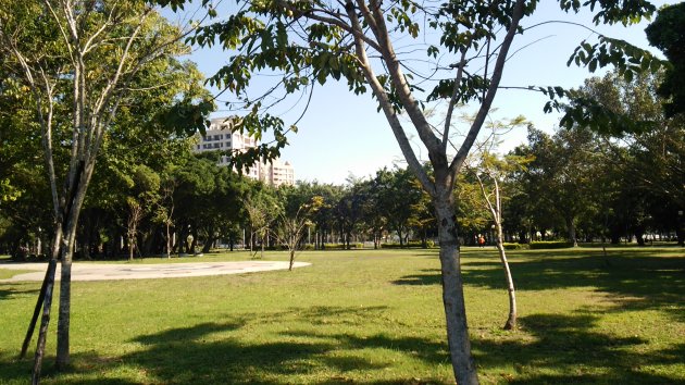 大東公園（旧中正公園）内の風景